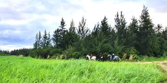 Secluded horse riding (1)